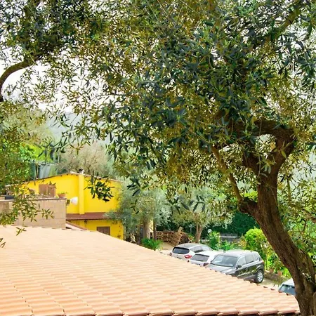 Villa Aurora Oasi Verde Sorrento Exterior photo